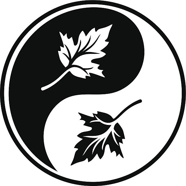 инь ян vi - yin yang symbol taoism herbal medicine symbol stock illustrations