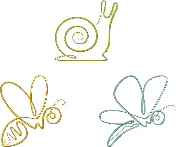 owad zbiór - snail isolated white white background stock illustrations