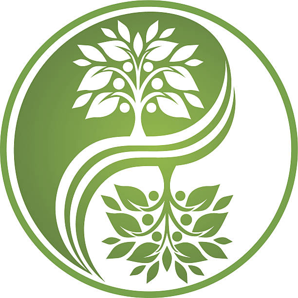 шар инь-ян я - yin yang symbol taoism herbal medicine symbol stock illustrations