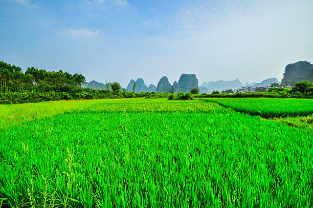 istock Li river mountain blue sky landscape in Yangshuo Guilin 505487879