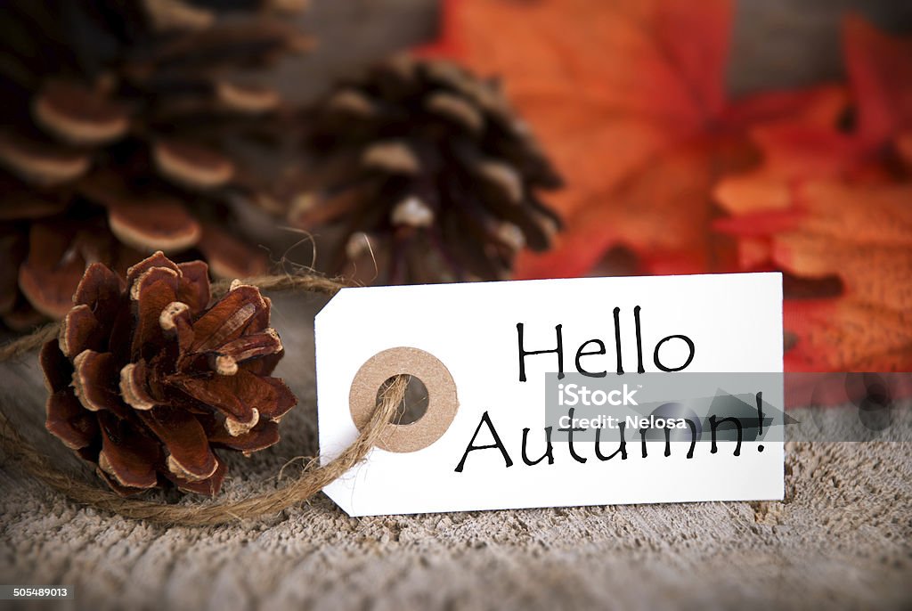 Tag with Hello Autumn Label with the Words Hello Autumn and Autumn Leaves in the Background Autumn Stock Photo