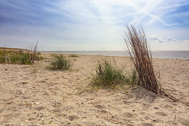 istock The sandy beach and the sea. 505497322
