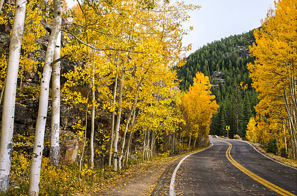 istock Independence Pass in the Colorado Rocky Mountains 505497448