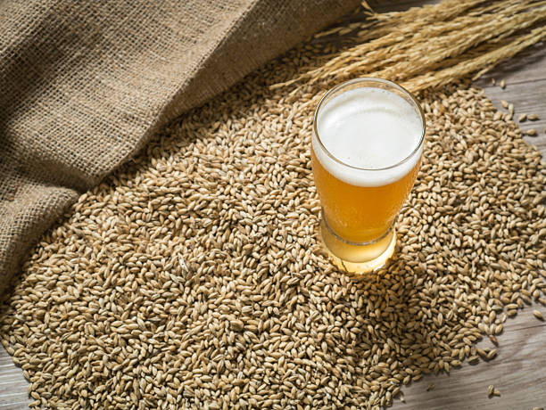 Glass of beer on malt grains Glass of beer on malt grains yeast stock pictures, royalty-free photos & images