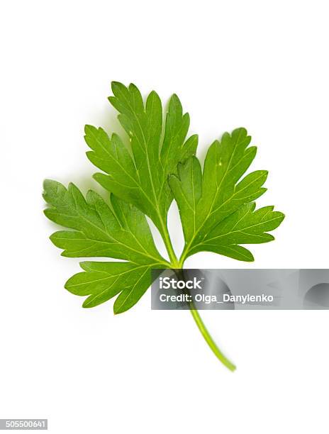 Fresh Herbs Parsley Isolated On White Stock Photo - Download Image Now - Close-up, Cut Out, Dieting