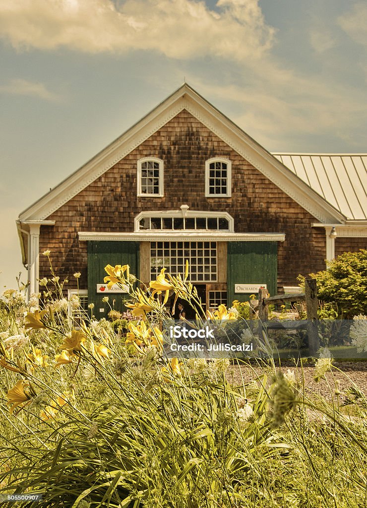 New England Farm House with Tiger Lillies in the foreground Clapboard farm house in the summer with blooming tiger lilies in the front and blue sky with fluffy white clouds. Architecture Stock Photo