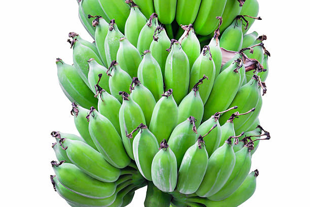 istock green banana on white background 505501455