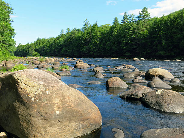 Large rock in a calm river with surrounding greenery.