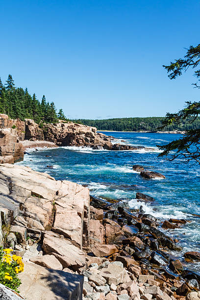istock Rocks Along Maine Shore 505502851
