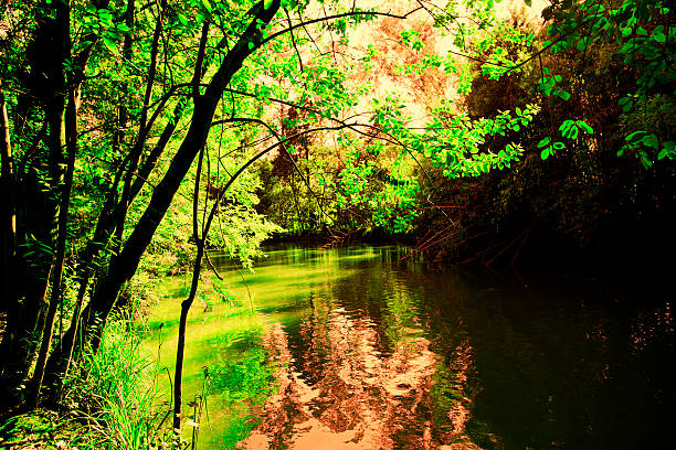 istock Park of Pateira de Fermentelos 505504085
