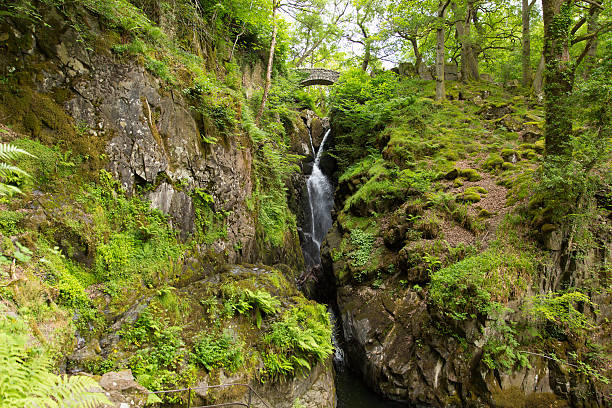 Aira Force waterfall Ullswater Valley Lake District Cumbria England UK stock photo