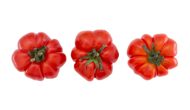 istock Organic, farm produced costaluto tomatoes, isolated . 505507831