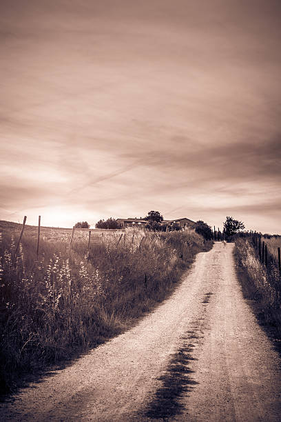 istock Tuscan rural scenery 505508660