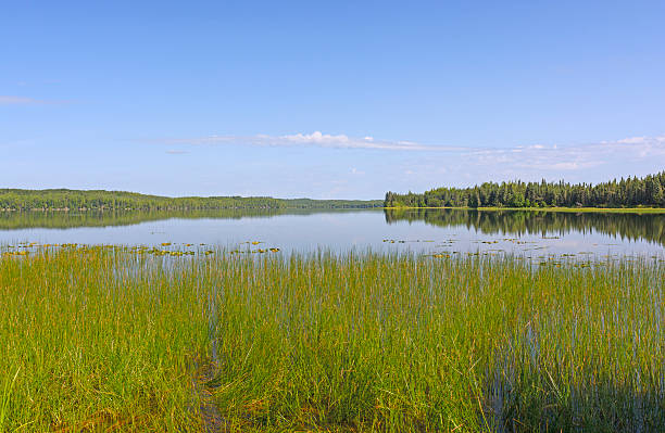 istock Blues Skies Over an Open Lake 505509412