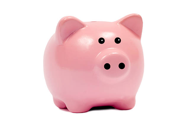 istock Piggy Bank 505510886
