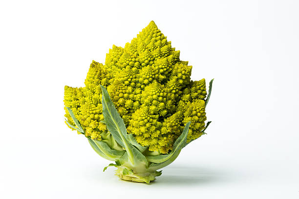 cavolo broccolo romanesco isolato su sfondo bianco - romanesque broccoli cauliflower cabbage foto e immagini stock