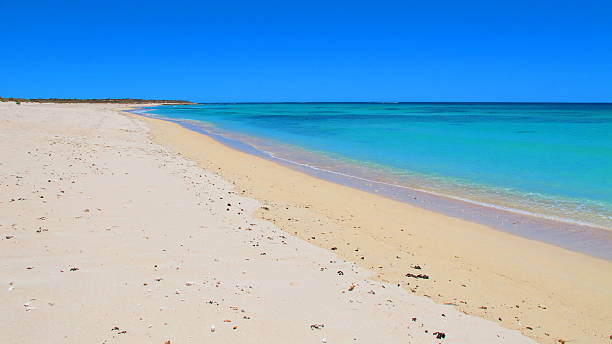 istock Ningaloo Coast, Cape Range National Park, Western Australia 505512646