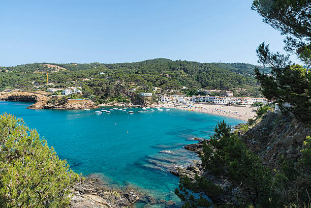 istock Sa Riera beach in Costa Brava, Catalonia, Spain 505514434