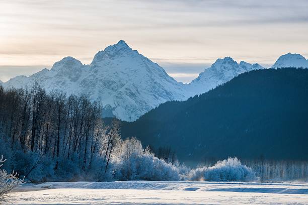 istock Chilkat River and Mountains in snow on a sunrise. 505516148