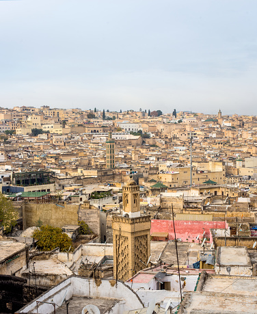 View of the rooftops of the Fez medina. Fez, Morocco. North Africa.