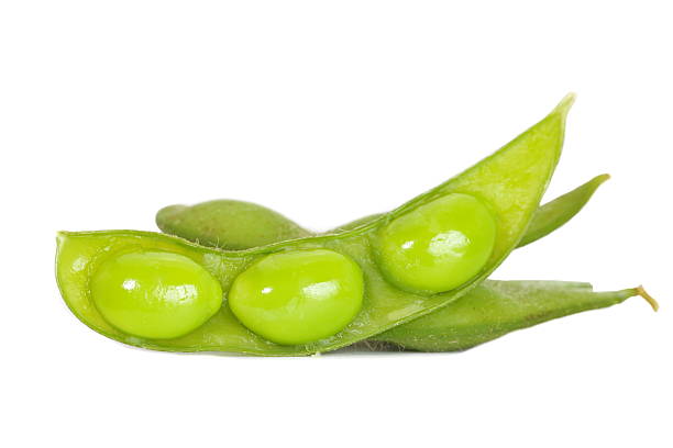 istock Japanese healthy appetizer edamame green soy beans 505518151