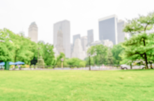 Defocused background of Central Park, New York City, USA. Intentionally blurred post production for bokeh effect