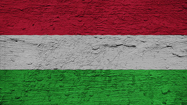 istock hungary Flag on the wall texture 505521065