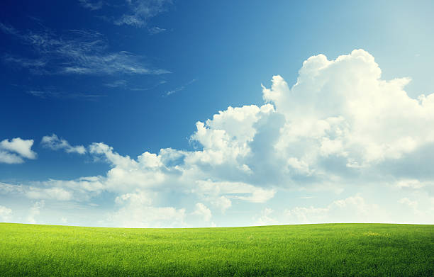 istock field of grass and perfect sky 505521241