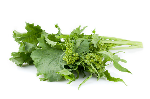 Fresh rapini isolated on white background.