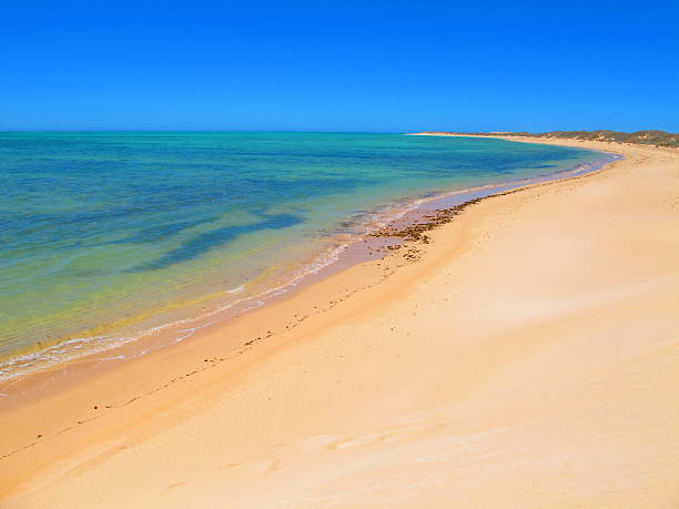 istock Ningaloo Coast, Cape Range National Park, Western Australia 505523840