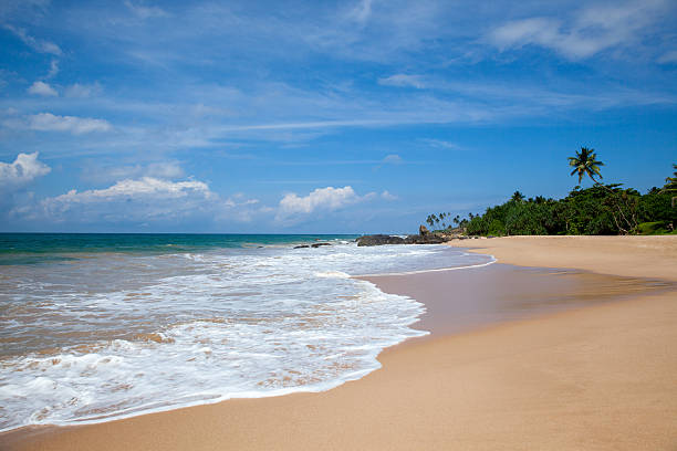 istock Tropical beach in Sri Lanka 505524222