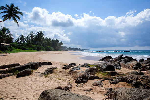 istock Tropical beach in Sri Lanka 505524594