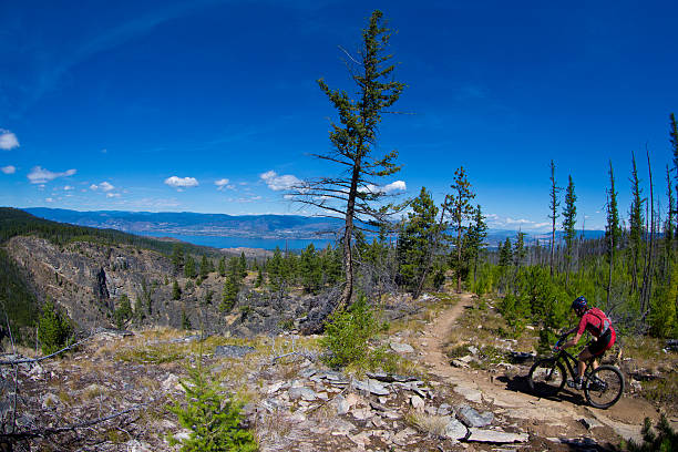 istock Mountain Bike Racer 505526270
