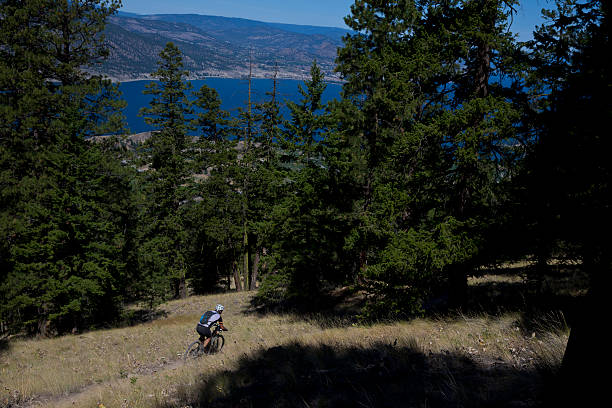 istock Mountain Bike Racer 505527302