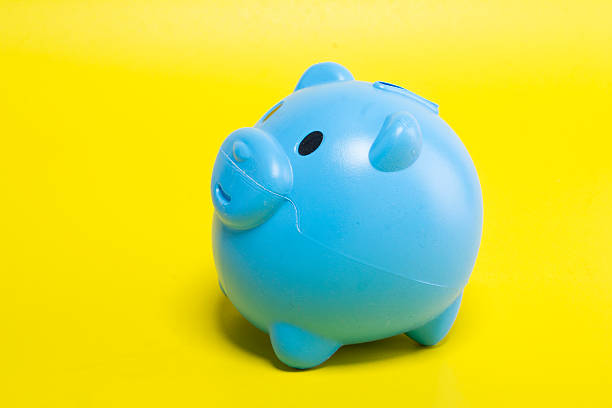 istock Blue piggy bank on a yellow background. 505528486