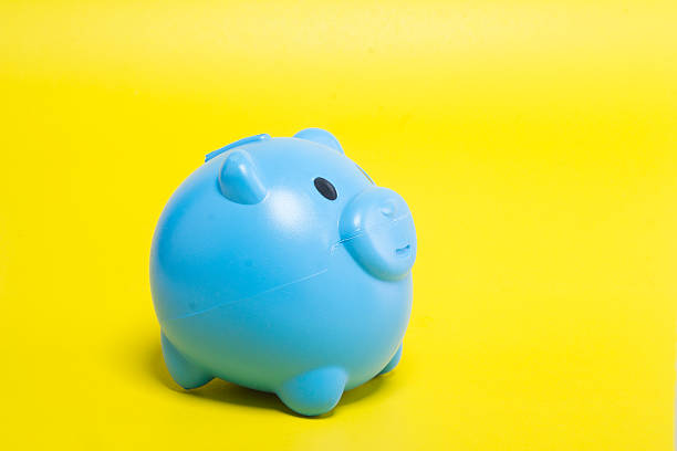 istock Blue piggy bank on a yellow background. 505528538