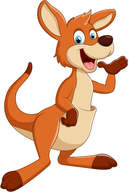 ilustraciones, imágenes clip art, dibujos animados e iconos de stock de presentación de historieta kangaroo - kangaroo animal humor fun