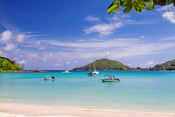 istock Tropical beach, Seychelles, Mahe 505529316