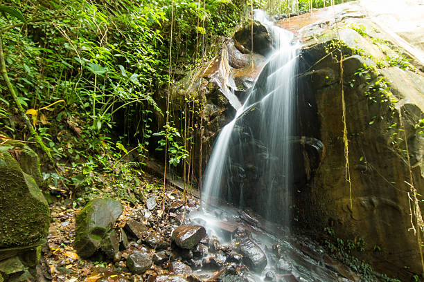 istock Beautiful waterfall in Borneo jungle 505530878