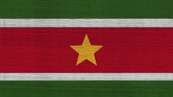 suriname Flag Japanese mats texture