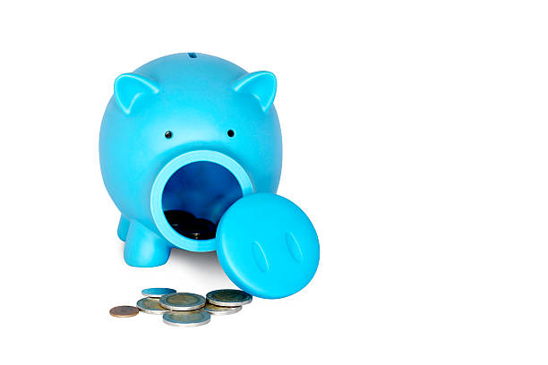 istock Piggy bank with coins on white isolated background 505533547