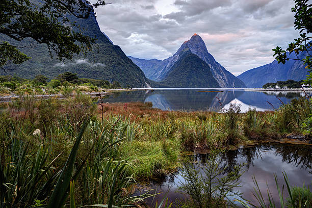 istock Mitre Peak in Milford Sound 505533655