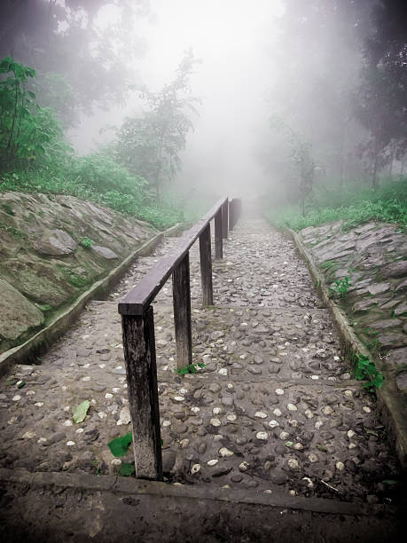 Footpath Beauty In Nature stock photo