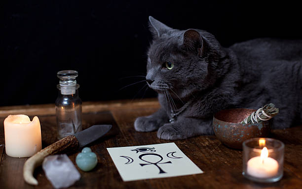 Pagan Altar with Cat stock photo