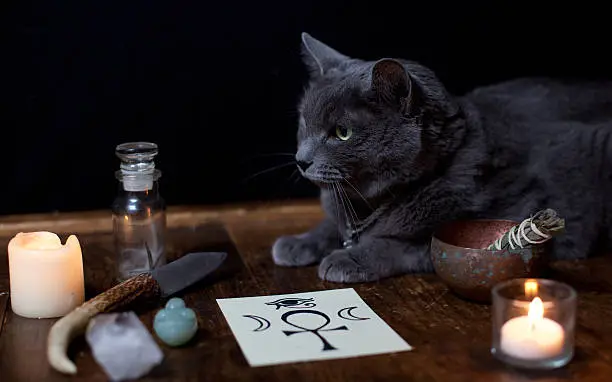 A pagan altar with Athame, sigils, herbs, candles, crystals, and gray cat.