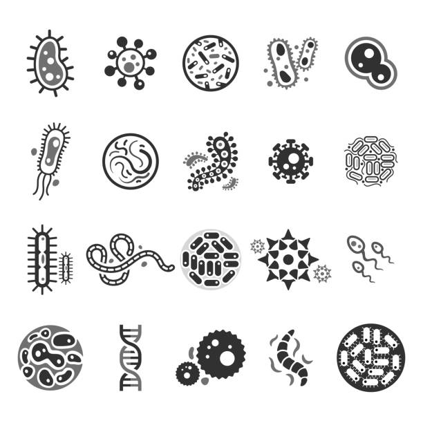 Virus cell icons. Virus cell icons. Vector illustration. bacterium stock illustrations