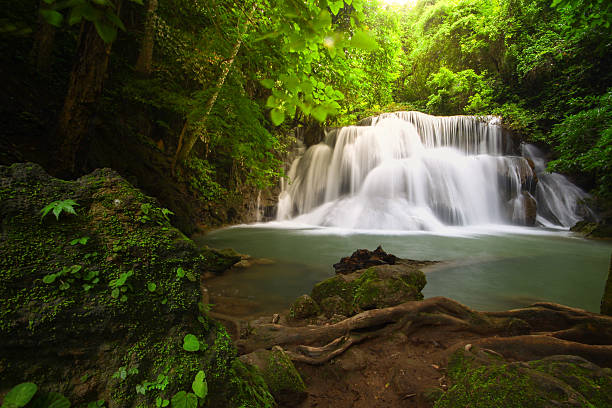 istock Waterfall in the forest asia thailand 505535084