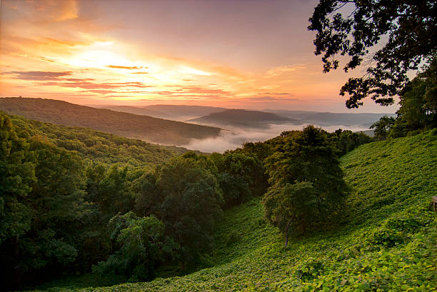 blick auf den sonnenaufgang über einem nebeligen in den ozark mountains - arkansas stock-fotos und bilder