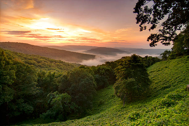 View of a foggy sunrise in the Ozark Mountains View of a sunrise in the Ozark Mountains, Arkansas. Overlook of foggy mountains in the sun. arkansas stock pictures, royalty-free photos & images