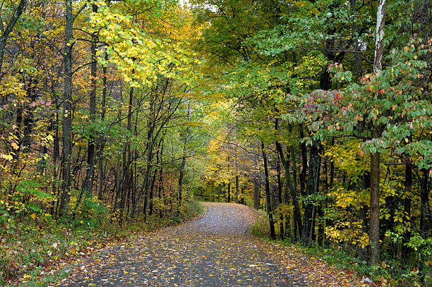 istock Country Road in Fall Scenery 505535934